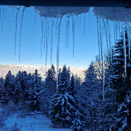 Sonneckalm In Berchtesgaden