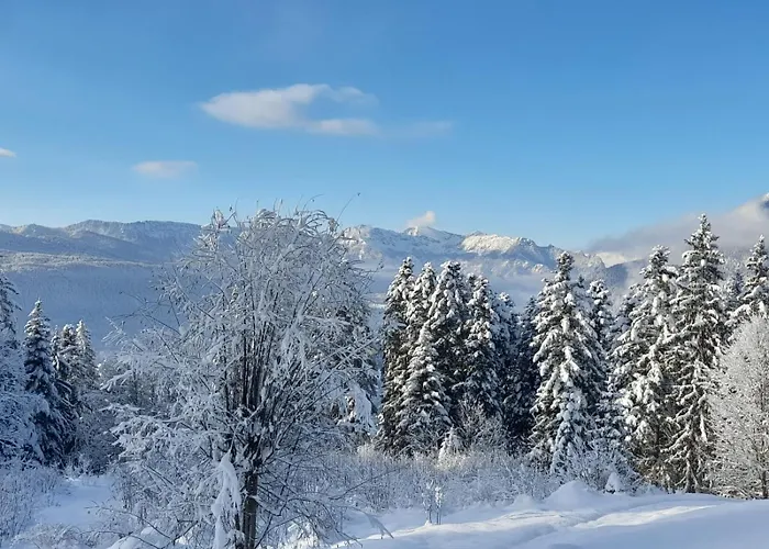 Sonneckalm In Lejlighed *