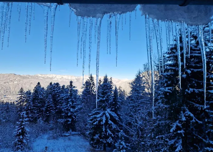 Sonneckalm In Berchtesgaden